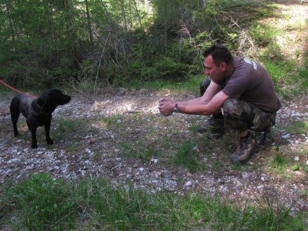 Usposabljanje vodnikov reševalnih psov GRZS - Virnikova planina 2014